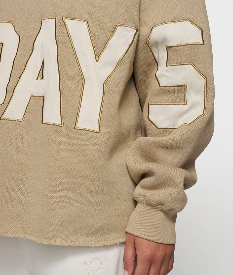 statement logo hoodie | earth