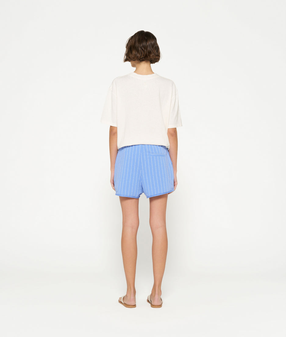 beach shorts stripe | blue bell