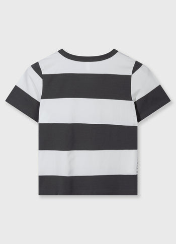 petite tee stripes | white/brownish grey