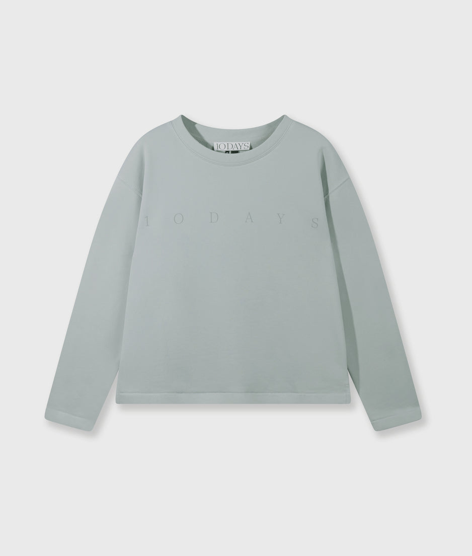 clean sweater logo | clean blue