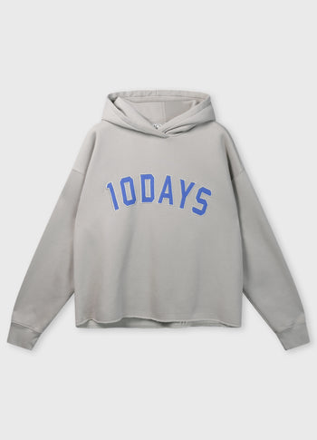 statement hoodie | stone