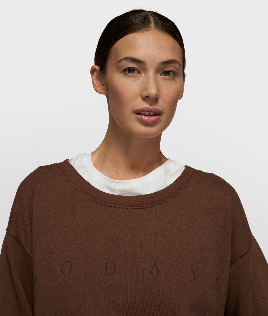 clean sweater logo | dark truffle